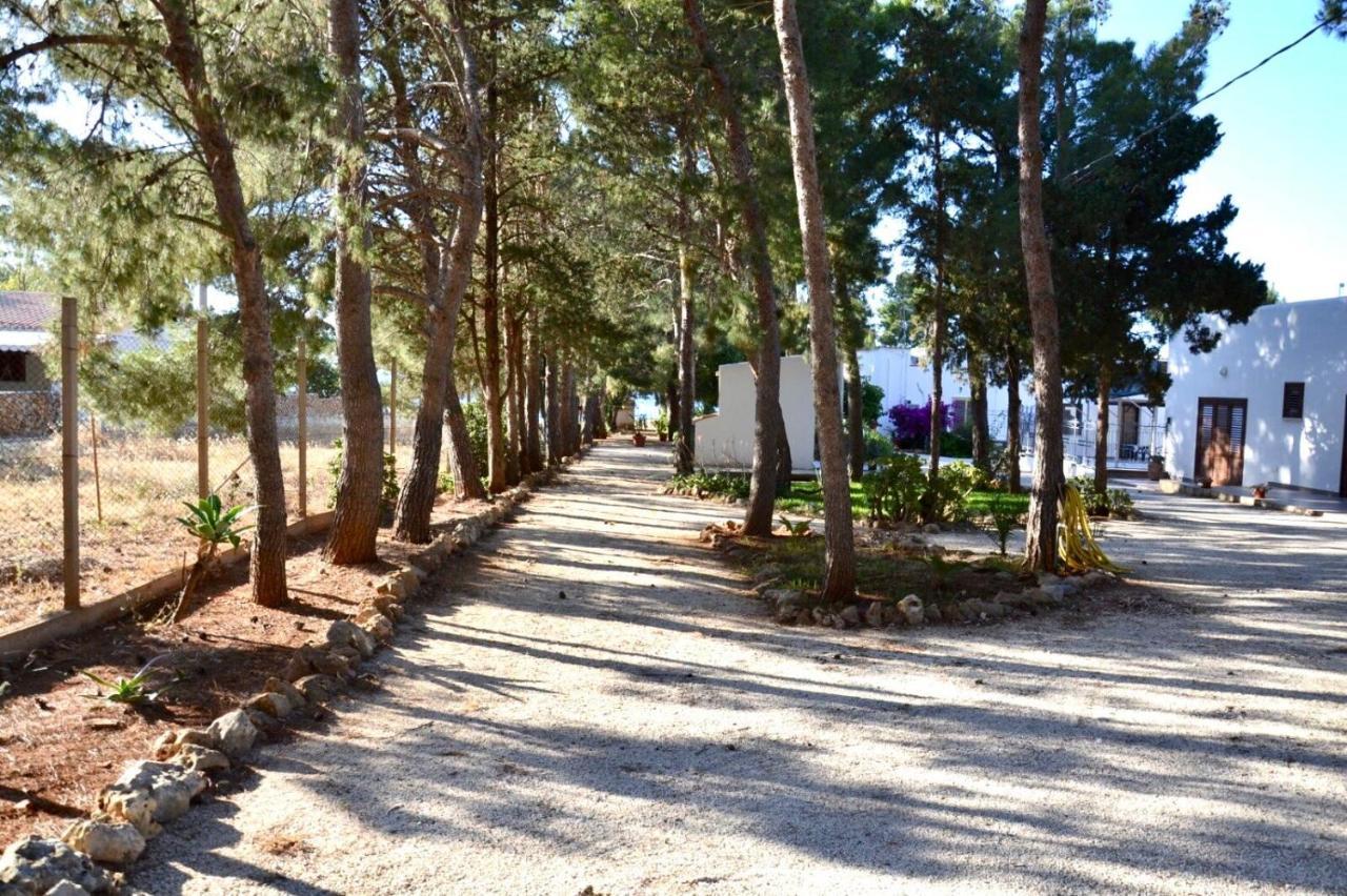 Appartamento I Tramonti Di Cofano Castelluzzo Zewnętrze zdjęcie