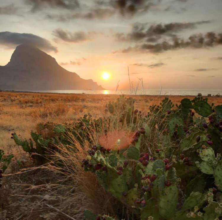 Appartamento I Tramonti Di Cofano Castelluzzo Zewnętrze zdjęcie