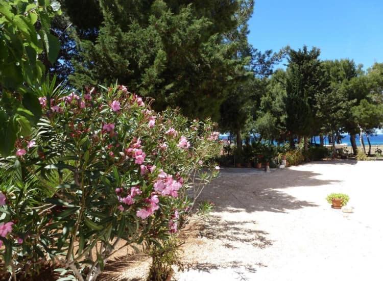 Appartamento I Tramonti Di Cofano Castelluzzo Zewnętrze zdjęcie