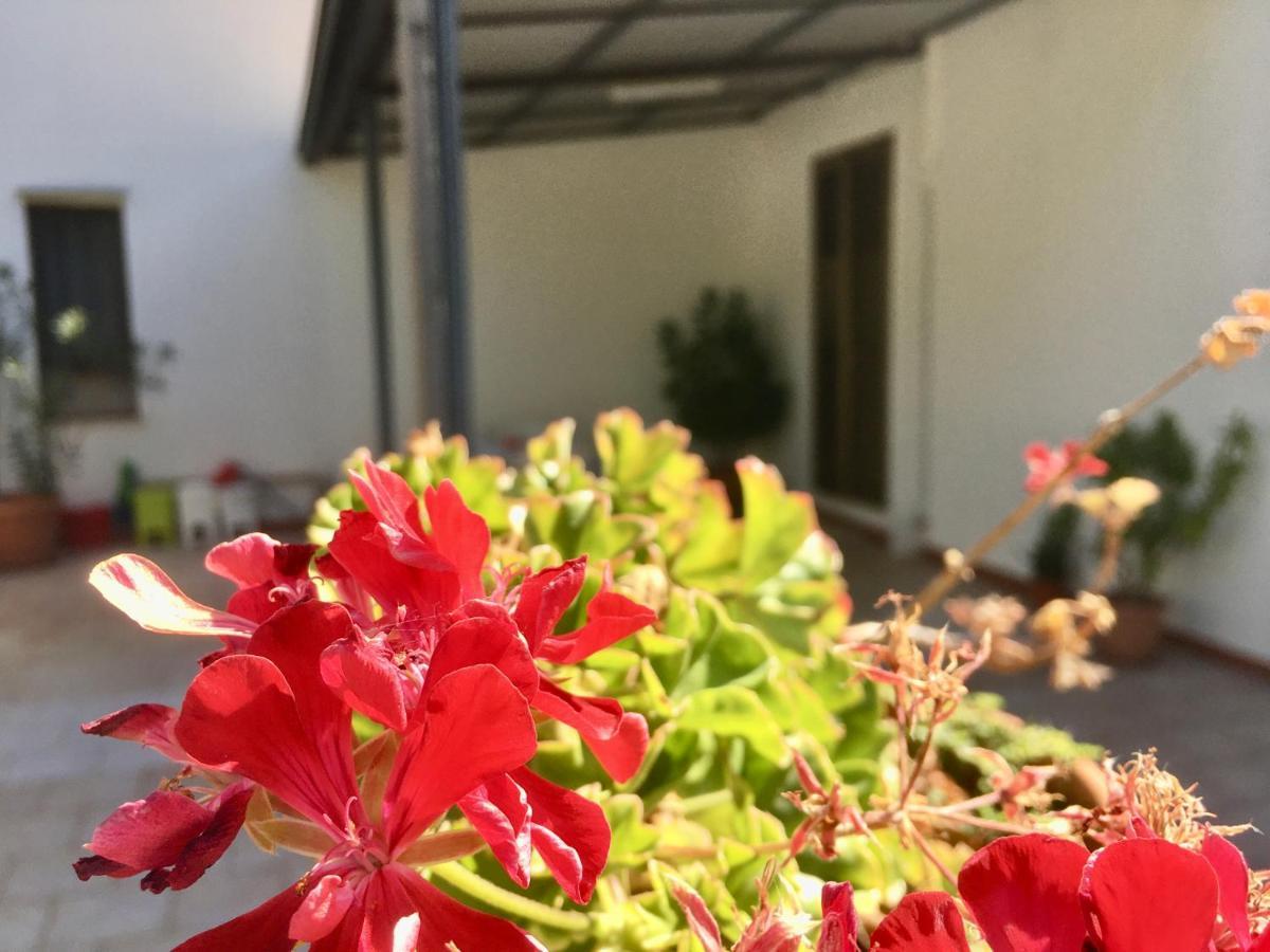 Appartamento I Tramonti Di Cofano Castelluzzo Zewnętrze zdjęcie