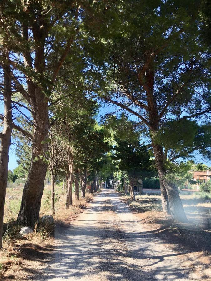 Appartamento I Tramonti Di Cofano Castelluzzo Zewnętrze zdjęcie