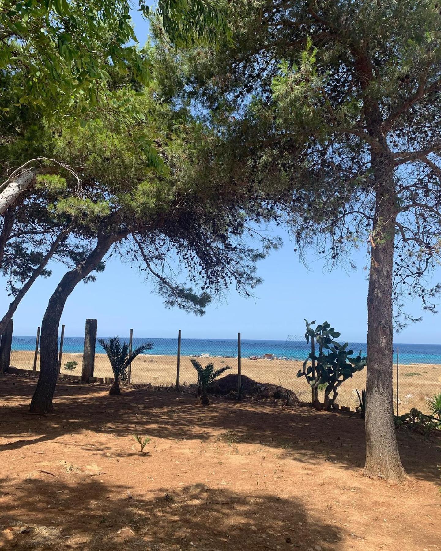 Appartamento I Tramonti Di Cofano Castelluzzo Zewnętrze zdjęcie