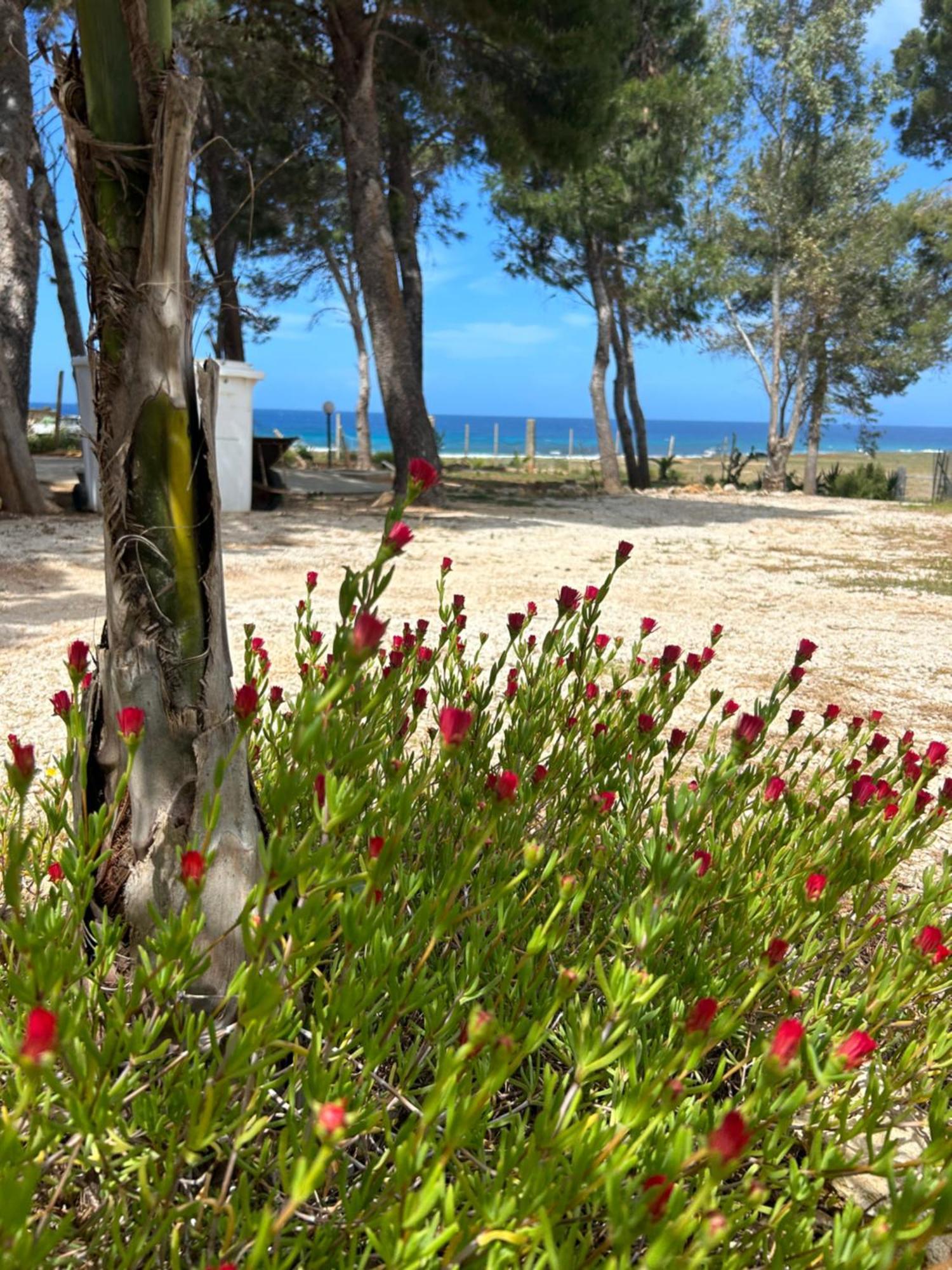 Appartamento I Tramonti Di Cofano Castelluzzo Zewnętrze zdjęcie